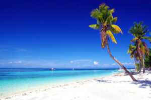 【2026年版】セブ島のプレビルド物件が熱い!海外不動産投資注意点も解説